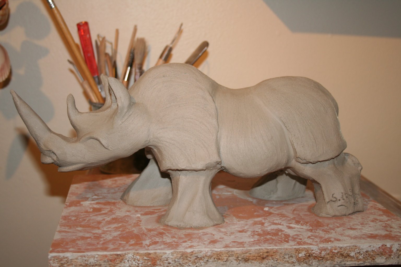 Rhino!!!